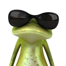 Dazzle69