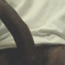Hegotta9inch