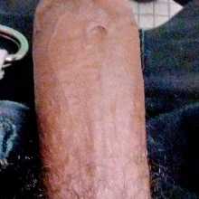 Arada1738