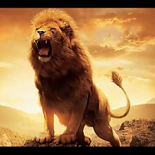 Meanolelion